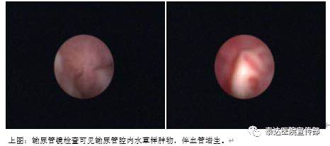 微信图片_20200629091541.jpg